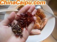 图片[5]-中式口味烤翅-起舞食谱网