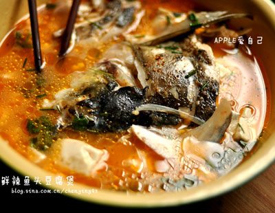 图片[1]-鲜辣鱼头豆腐煲-起舞食谱网