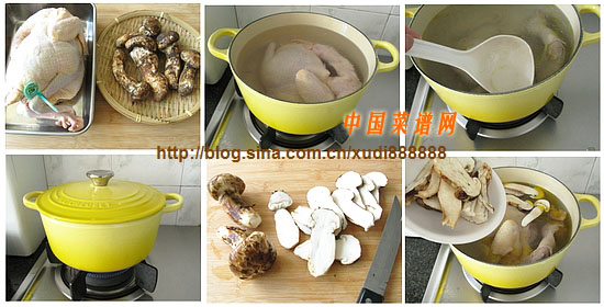 图片[2]-松茸鸡汤的做法,松茸鸡汤怎么做-起舞食谱网