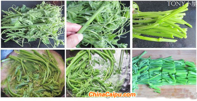 肉末爆炒南瓜藤