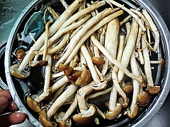 茶树菇煲凤爪