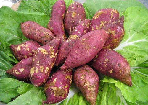 食用红薯皮易致毒 当心6种果蔬皮