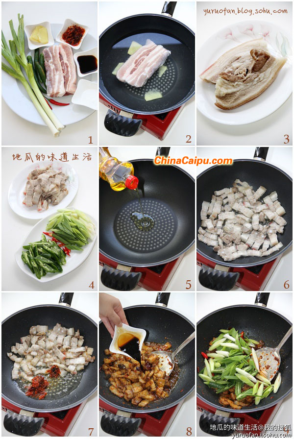 图片[2]-四川回锅肉的做法-起舞食谱网