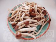 茶树菇闷鸭肉